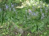 image number IMG_3321